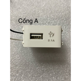 ổ sạc usb type A & type C  schneider