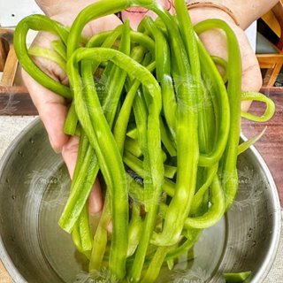 Rau Tiến Vua Loại 1 Sấy Khô (Công Sôi/ Rau Cần Biển/ Rau Cần Khô) - Túi 500gram