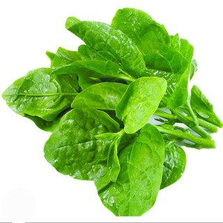 Hạt giống rau mồng tơi lá to - gói 20g