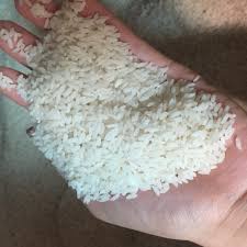 Gạo Bắc Hương thơm dẻo ngon