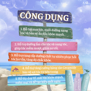 COMBO 3SP All About Hair Gội Ủ Xả giúp phục hồi hư tổn nặng, dưỡng ẩm cho tóc của bạn chắc khoẻ