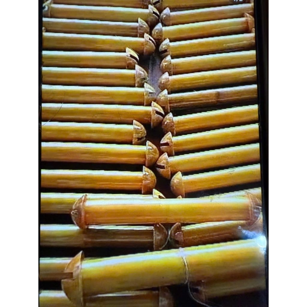 Sáo diều Đơn D40