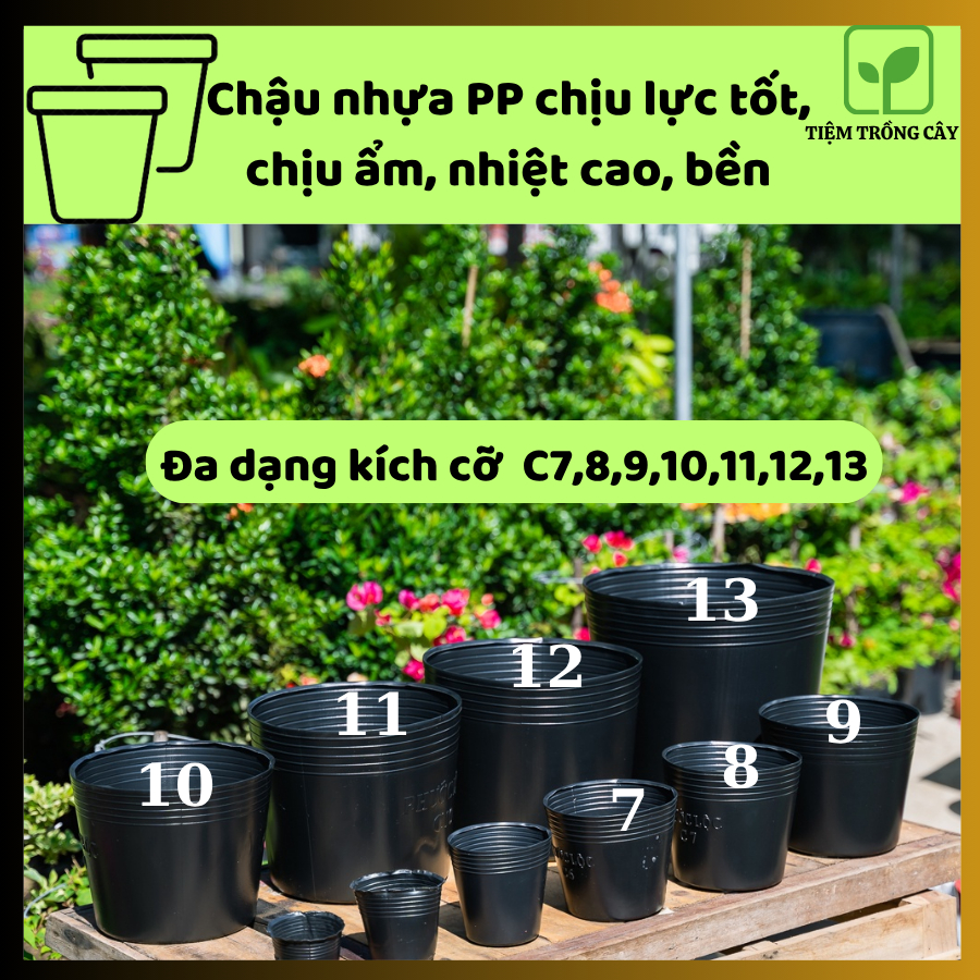 SET Chậu nhựa đen Mềm - Kích thước từ C8 - C12 - Chậu nhựa Dẻo để Ươm và Trồng Cây