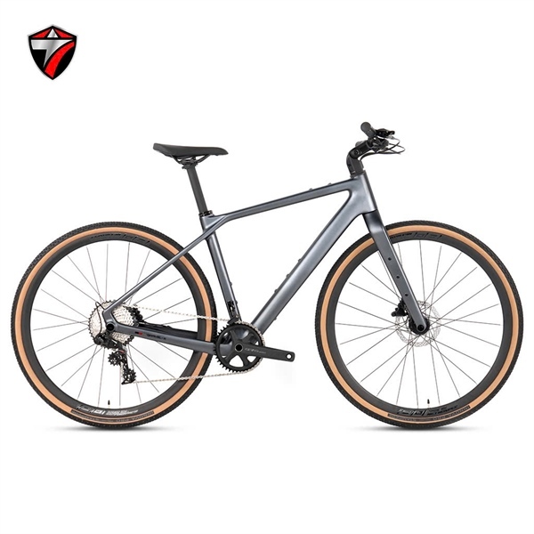 Xe TW GRAVEL Sram NX11 Tay ngang