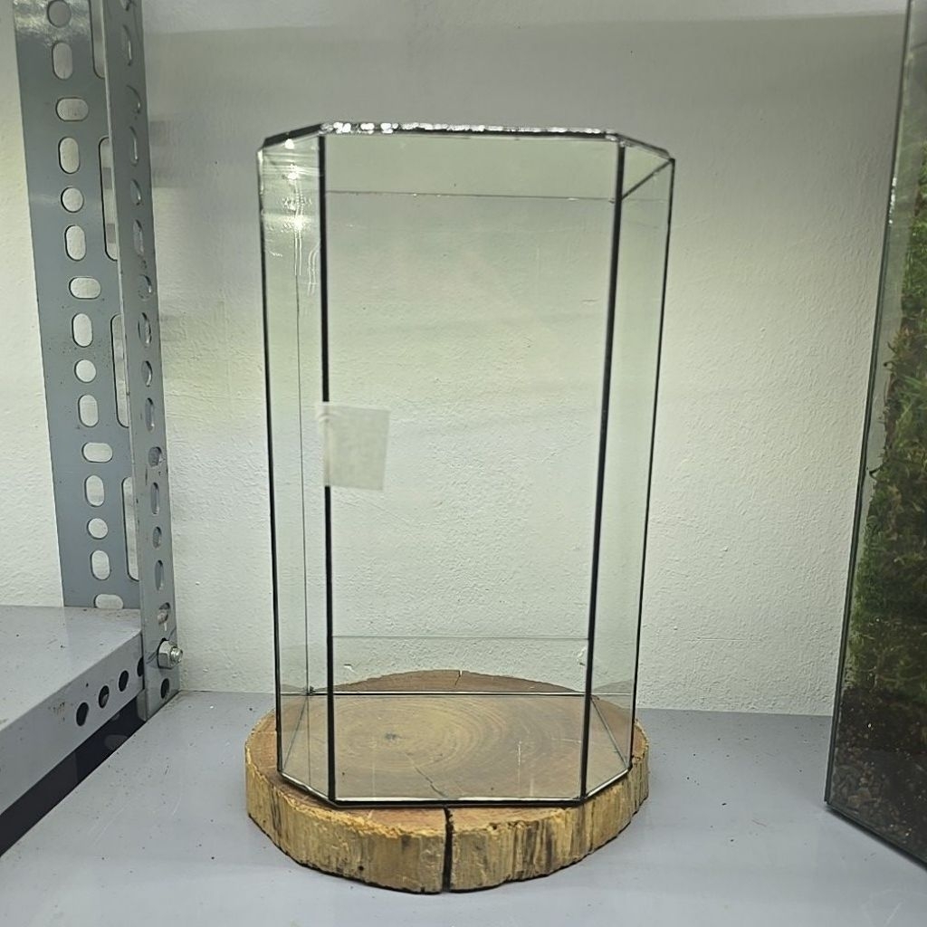 bể kính terrarium mẫu hộp đứng cải tiến