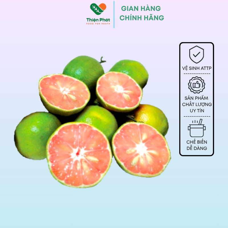  1KG CHANH ĐÀO TƯƠI HÒA BÌNH SIZE TRUNG DÙNG LÀM CHANH ĐÀO NGÂM MẬT ONG - Thiện Phát Food 