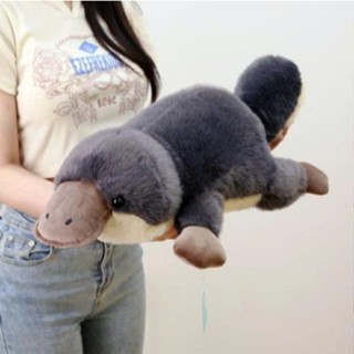  Gấu Bông Thú Mỏ Vịt Rái Cá Mỏ Vịt Đáng Yêu Gối Ôm Ngủ Cho Bé Mềm Mại 