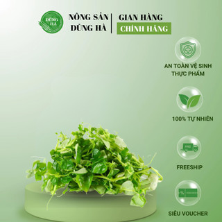 Rau Càng Cua Ăn Liền – Hái Mỗi Ngày – Giàu Dinh Dưỡng – Giao Tận Nhà