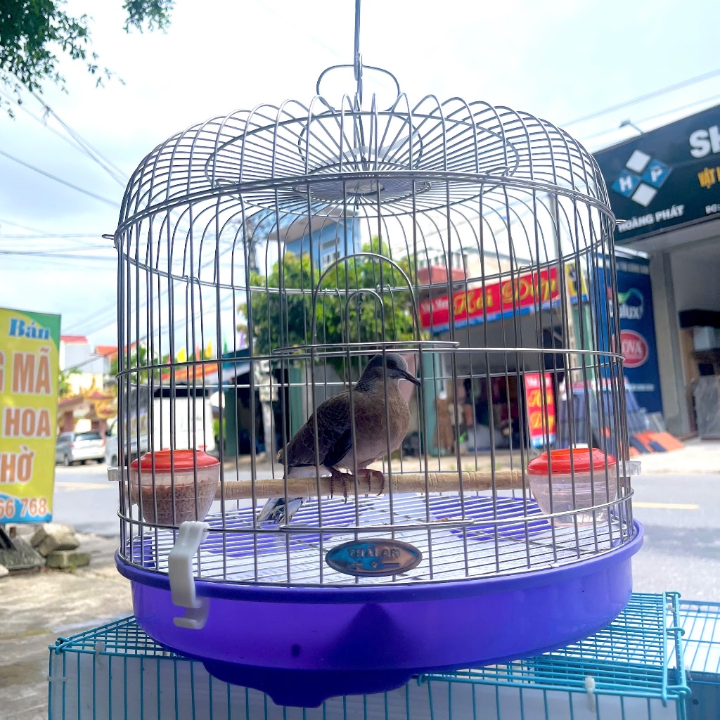 Lồng Chim Gáy [HÀNG CÔNG TY] Lồng cu gáy Inox, Lồng nuôi chim cu gáy Siêu Rẻ, Bền, Đẹp