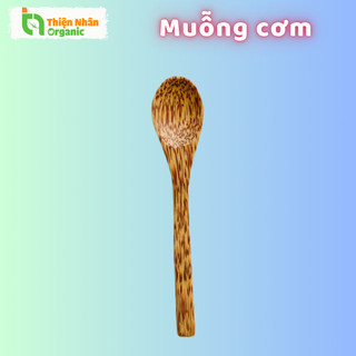 Muỗng Cơm Gỗ Dừa One4One Thìa Cơm 1 Cái