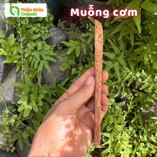 Muỗng Cơm Gỗ Dừa One4One Thìa Cơm 1 Cái