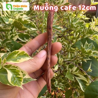 Muỗng Cafe Gỗ Dừa 12cm One4one Thìa Cà Phê 1 Cái