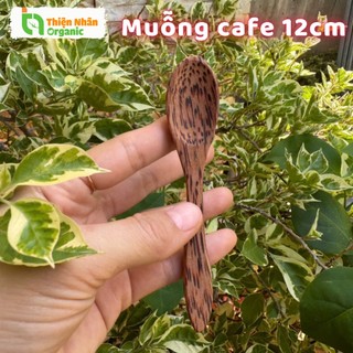 Muỗng Cafe Gỗ Dừa 12cm One4one Thìa Cà Phê 1 Cái