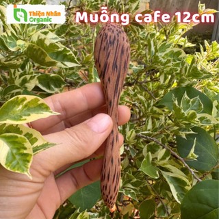 Muỗng Cafe Gỗ Dừa 12cm One4one Thìa Cà Phê 1 Cái