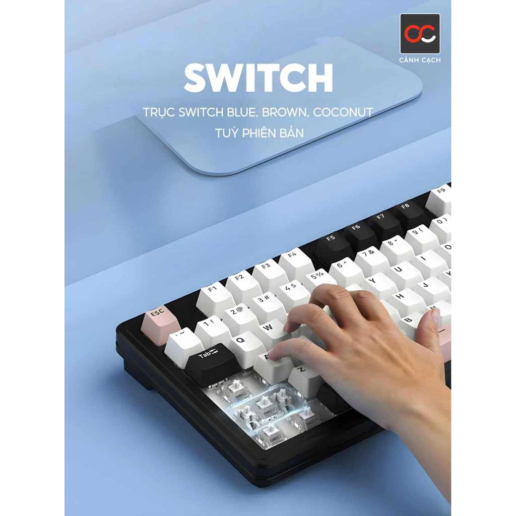 BÀN PHÍM CƠ GAMING XINMENG M87 LITE 3 MODE KHÔNG DÂY | 1 MODE CÓ DÂY | BigBuy360 - bigbuy360.vn