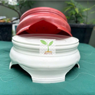  Kệ Đựng Kê Vật Dụng - Đế Lót Chậu Cây - Đôn Lót Nhựa Kê Chậu - Đế Có 4 Bánh xe Khóa Chất Liệu Gỗ Tràm✔️Kho Giá Sỉ❤️ 