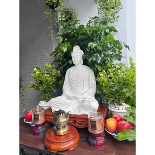 Tôn Tượng Bổn Sư _ 55CM