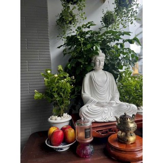 Tôn Tượng Bổn Sư _ 55CM