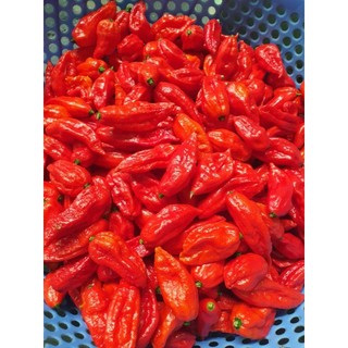 Ớt Trung Đoàn Tươi Lai Châu siêu cay 200gram
