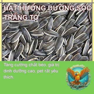   200g -1kg  - HẠT HƯỚNG DƯƠNG SỌC TRẮNG-HẠT SỐNG - Loại to trung bình  nhỏ  dành cho Vẹt   Hamster 