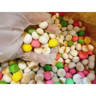 Thức ăn vặt, ăn dặm cho Hamster, Bọ ú, Chim vẹt, Sóc bay, Thằn lằn, Ếch Pacman, Nhím kiểng