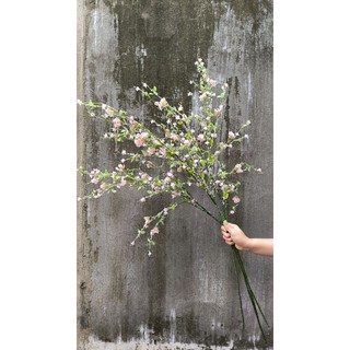  Cành Tuyết Mai giả cành dài 120 cm hàng loại 1 đủ nhánh trang trí tết siêu đẹp mimishophoalua. 