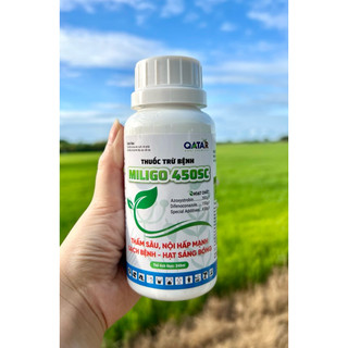  Thuốc trừ bệnh MILIGO 450SC 240ML   Azosystrobin 300g l + Difenoconazole 150g l  - VTNN THANH THẢO 
