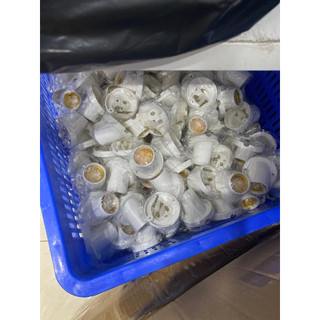 Combo 10c Đui vát tường chếch 45 độ
