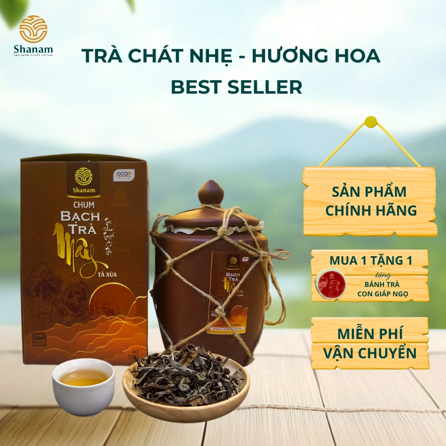 Chum Bạch Trà Mây Tà Xùa 1 Tôm 2 Lá, Trà Shan Tuyết Cổ Thụ, Hương Thơm Chát Dịu, Giúp Giảm Căng Thẳn