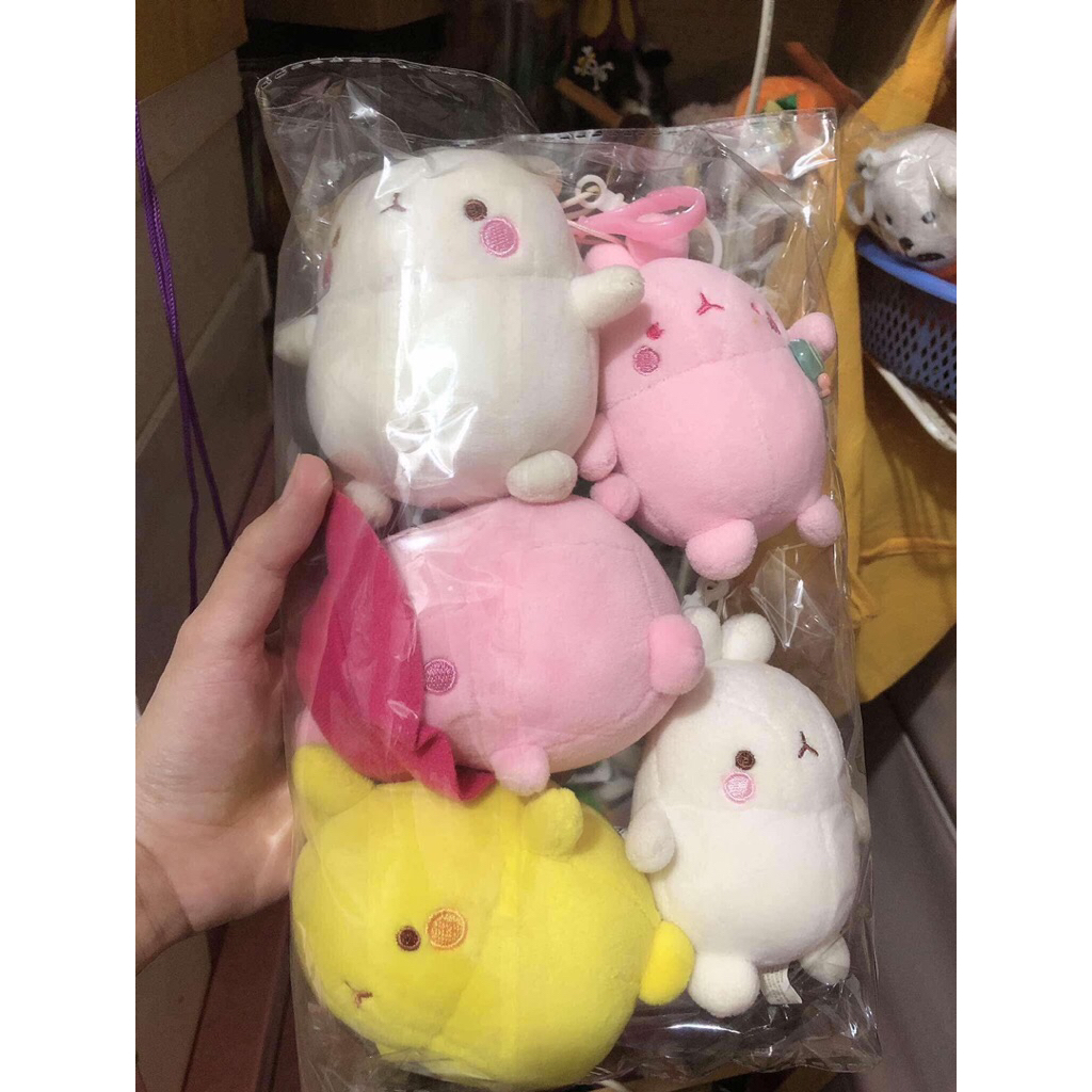 Gấu bông molang
