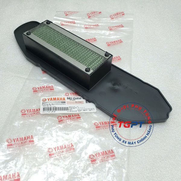 Lọc gió Freego - B4U-E4450-00