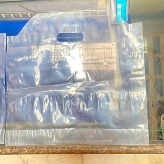 [1KG ]TÚI ĐỰNG LY TRÀ SỮA- ĐỰNG 2LY
