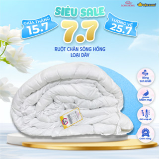 Ruột Chăn Đông Sông Hồng phân phối chính hãng tại Đệm Xanh