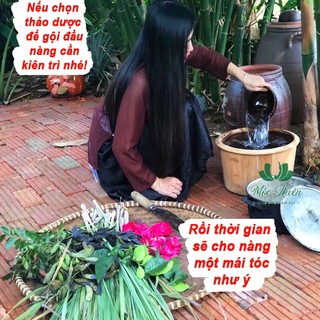Dầu gội bồ kết [COMBO RẺ] giảm rụng, hết ngứa, mọc tóc