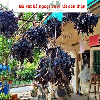 Dầu gội bồ kết [COMBO RẺ] giảm rụng, hết ngứa, mọc tóc