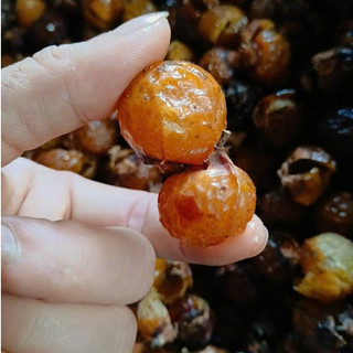 Bồ hòn chảy mật tách hạt 500g