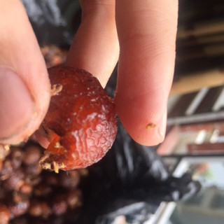 Bồ hòn chảy mật tách hạt 200g