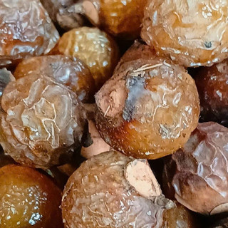 Bồ hòn chảy mật tách hạt 200g