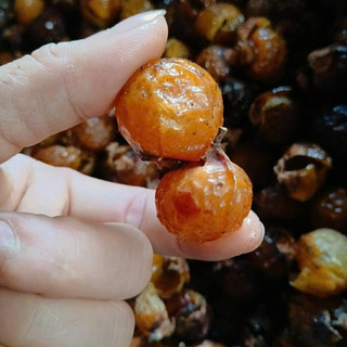 Bồ hòn chảy mật tách hạt 200g