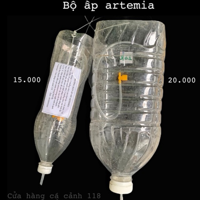 Bình ấp artemia //