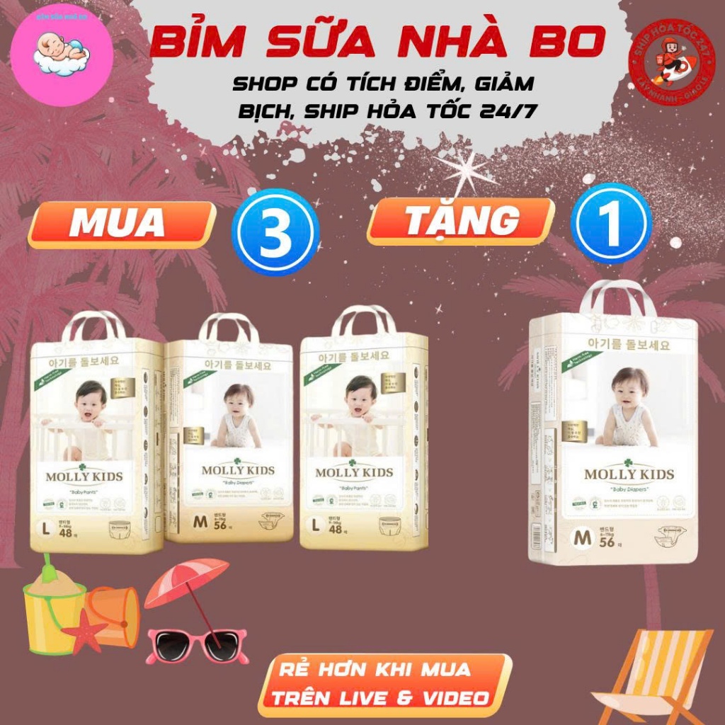 COMBO 4B MOLLY KIDS( Mua 3 TẶNG 1) MOLLY KIDS Công Nghệ Hàn Quốc Dán/Quần Đủ Size S62>>4XL38