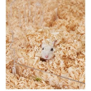 Mùn Cưa Thơm Lót Chuồng Dành Cho Chuột Hamster - Thỏ - Bọ - Thú Cưng