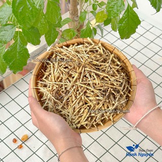 Rễ cỏ tranh 1kg, bạch mao căn khô, sạch, nguyên liệu nấu nước sâm, giúp mát gan, thanh nhiệt