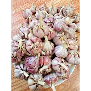 #1KG tỏi tím bắc loại 2 củ to chắc rất thơm màu tím đẹp(tỏi khô,hành tím khô,hành tăm,gừng)