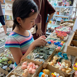 Tiểu Cảnh Trang Trí Chậu Cây
