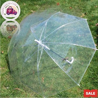  Ô Đi Mưa Trong Suốt Gấp Gọn Nút Bấm Tự Động Phong Cách Thanh Lịch Phụ Kiện Chụp Ảnh 