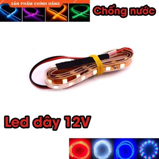 Led dây chống nước-12v-50cm-loại nháy đuổi