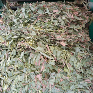Lá sả khô thơm dưỡng tóc 100g