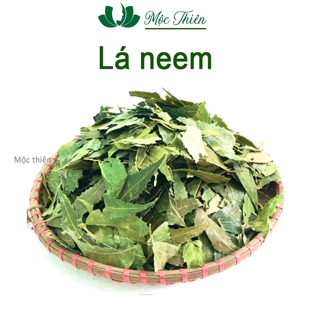 Lá neem khô thơm gội đầu 100g