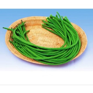 Hạt giống đậu hà lan - đậu bắp - đậu rồng - đậu đũa - đậu que
